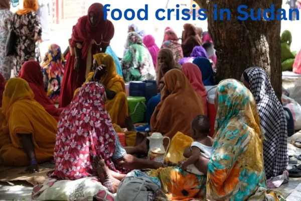 Food crisis in sudan