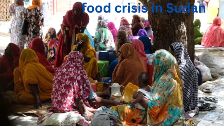 Food crisis in sudan